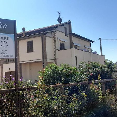 Agriturismo Il Vecchio Olivo Кастаньєто-Кардуччі Екстер'єр фото