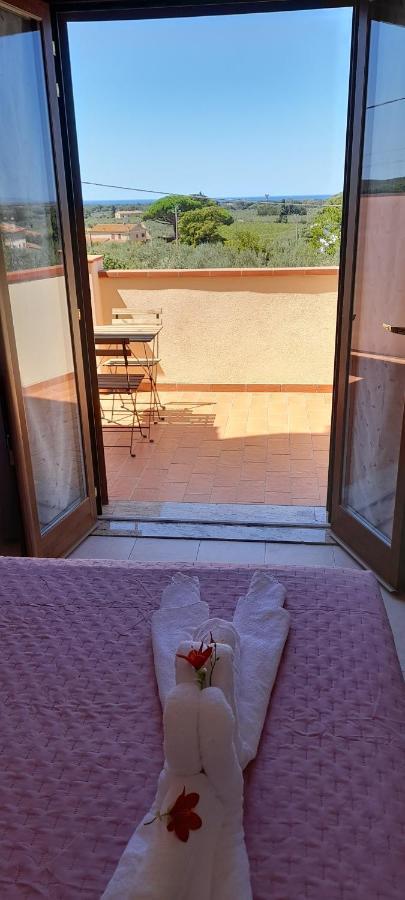 Agriturismo Il Vecchio Olivo Кастаньєто-Кардуччі Екстер'єр фото