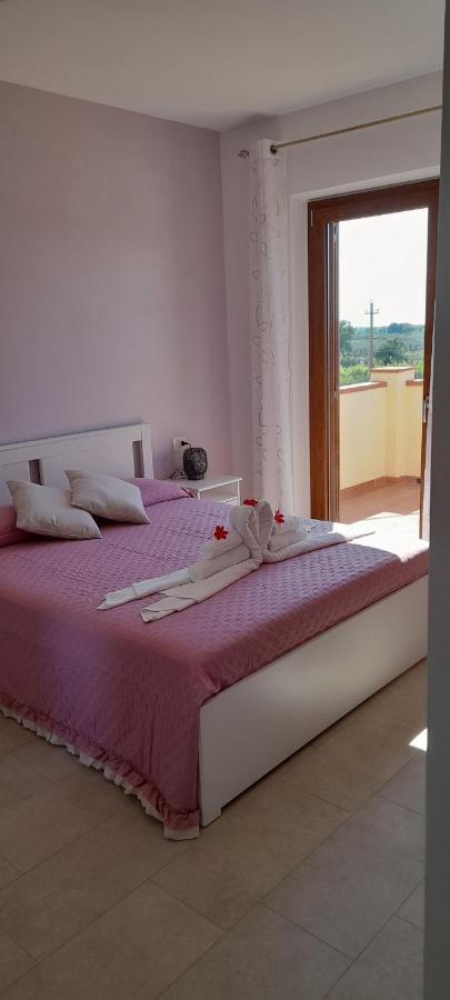 Agriturismo Il Vecchio Olivo Кастаньєто-Кардуччі Екстер'єр фото